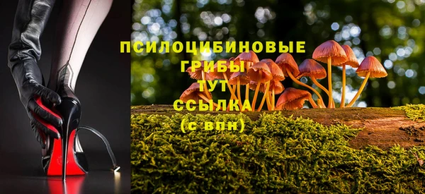 МДМА Гусиноозёрск