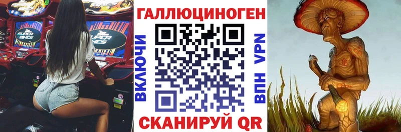 где найти   Долгопрудный  Псилоцибиновые грибы Magic Shrooms 