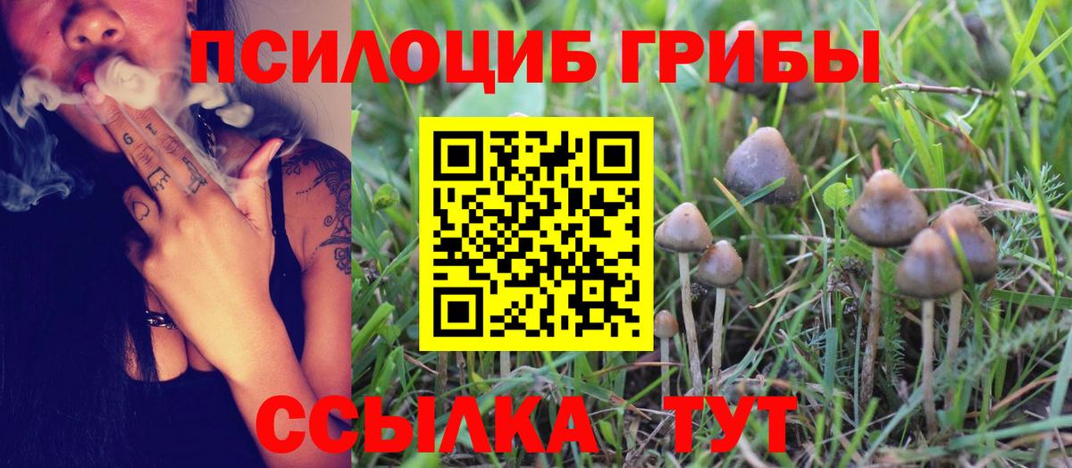 Долгопрудный  Галлюциногенные грибы GOLDEN TEACHER  Псилоцибиновые грибы Psilocybe  Вход с VPN 