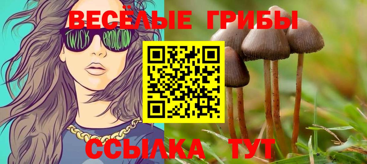 Псилоцибиновые грибы ЛСД Долгопрудный