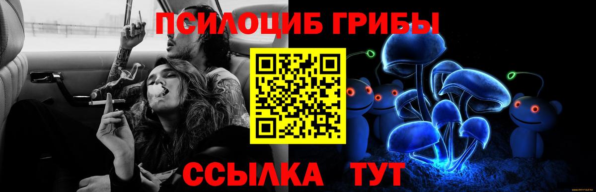 Галлюциногенные грибы Magic Shrooms Долгопрудный